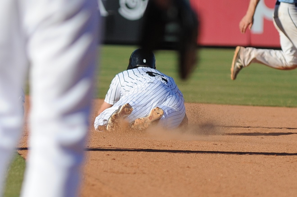 Seals_2019-10-06 (691).JPG - (c)2010 DeVetter